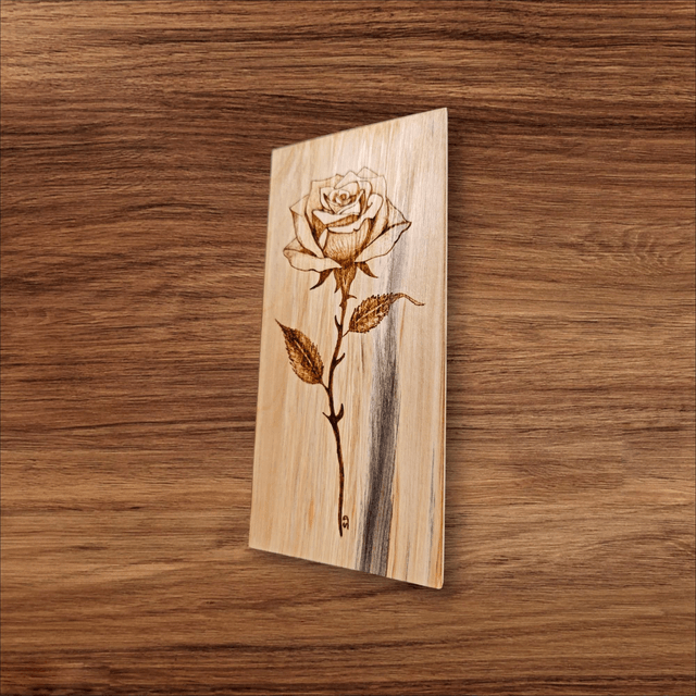 Rose majestueuse 
