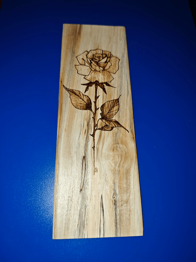 Rose éternelle 