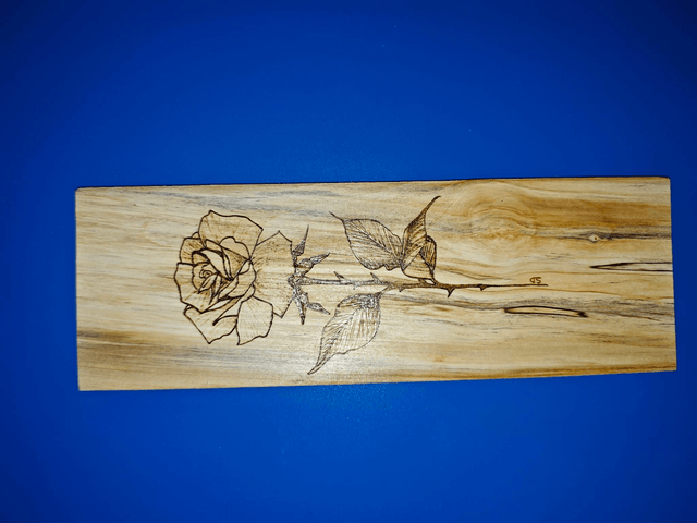 Rose éternelle 