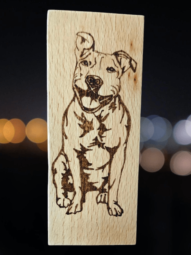 Plaquette Staffie 
