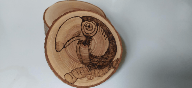 Rondelle Toucan 