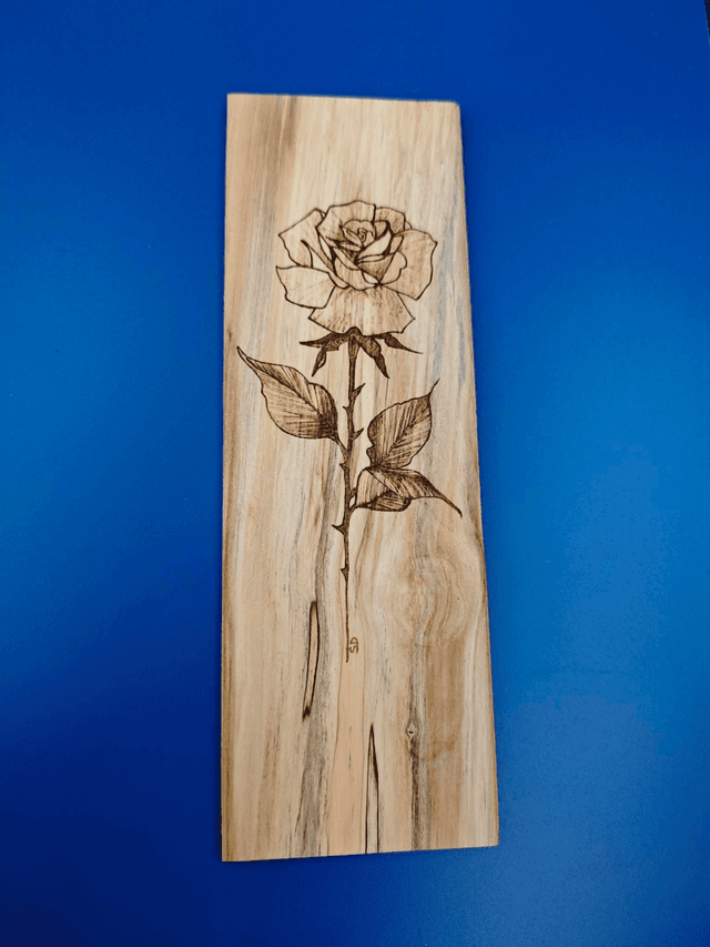 Rose éternelle 
